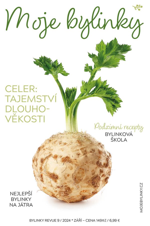 Bylinky v kuchyni - Tipy na použití bylinek při vaření a pečení pro lepší chuť a zdraví.