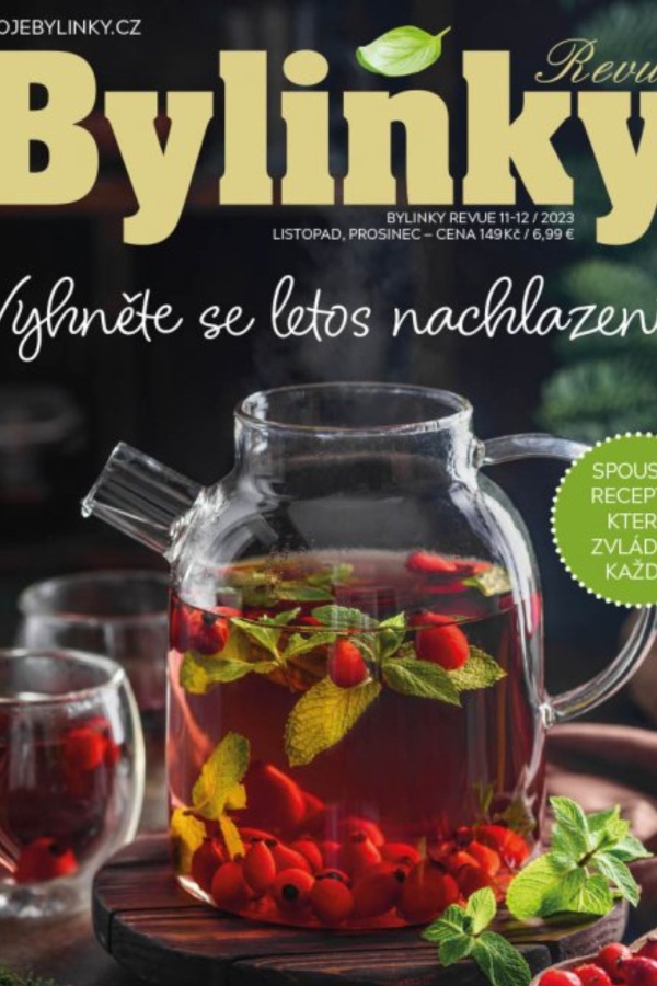 Bylinky na podporu imunity - Zjistěte, jaké bylinky vám pomohou posílit imunitní systém.